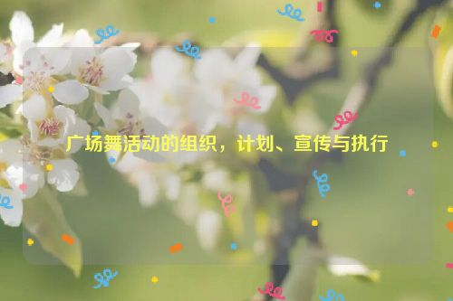 广场舞活动的组织，计划、宣传与执行