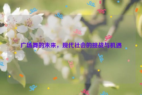 广场舞的未来，现代社会的挑战与机遇